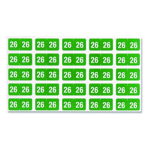 241248355.jpg