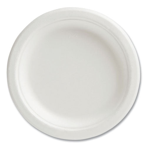 241314111.jpg