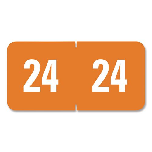 241274517.jpg