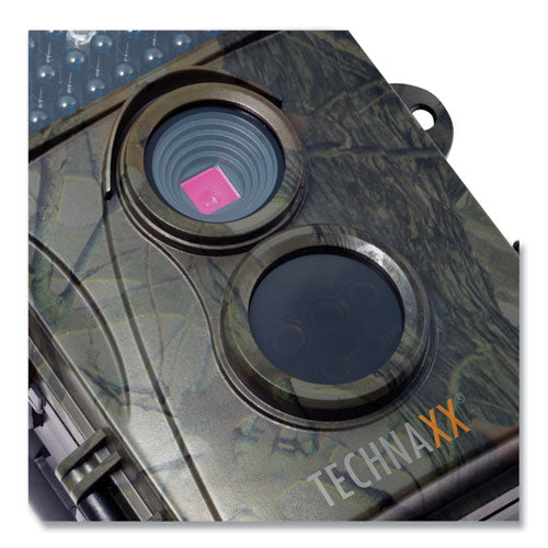 241288536.jpg