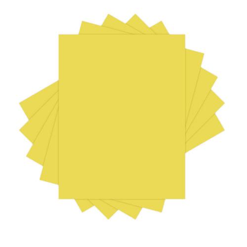241333197.jpg